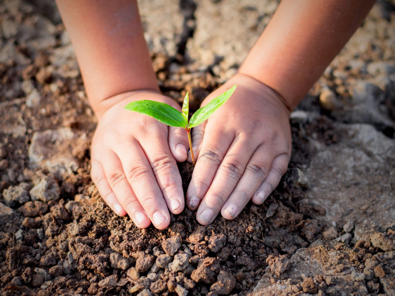 Economic and Ecological Justice