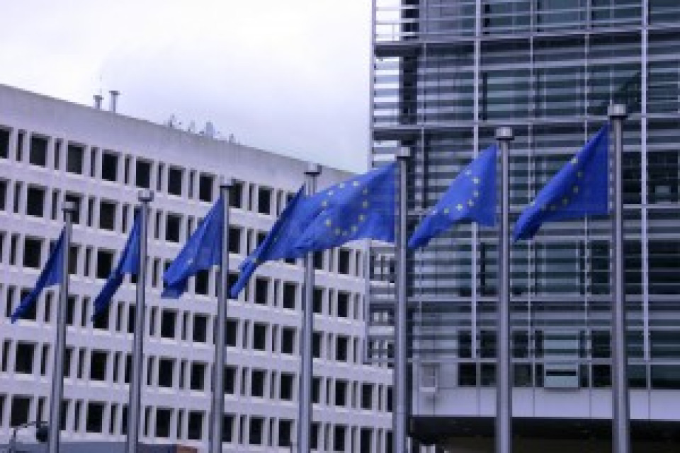 CEC grieves loss of life, condemns violent attacks in Brussels