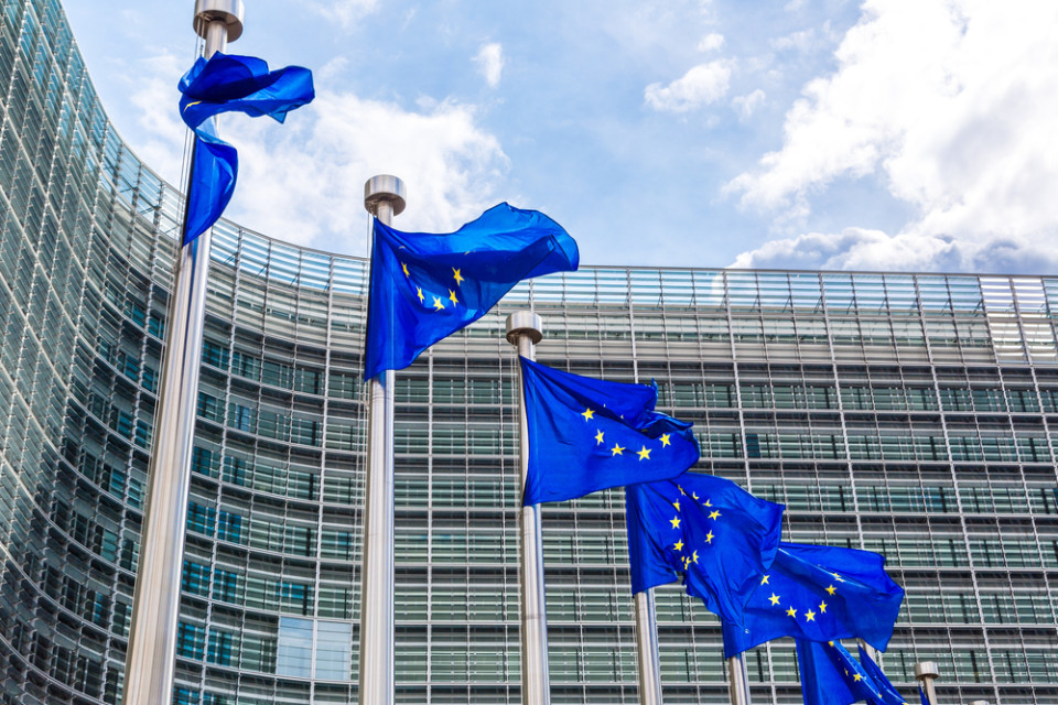 Europe Day: Common Values Shaping the Future of Europe