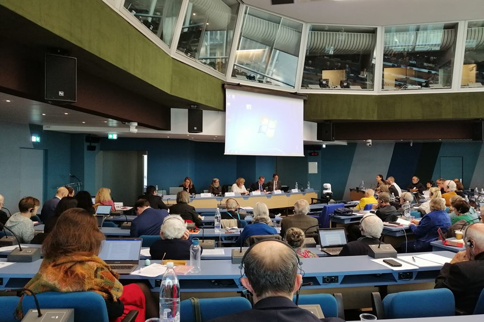 CEC participates in Conference of International Non-Governmental Organisations
