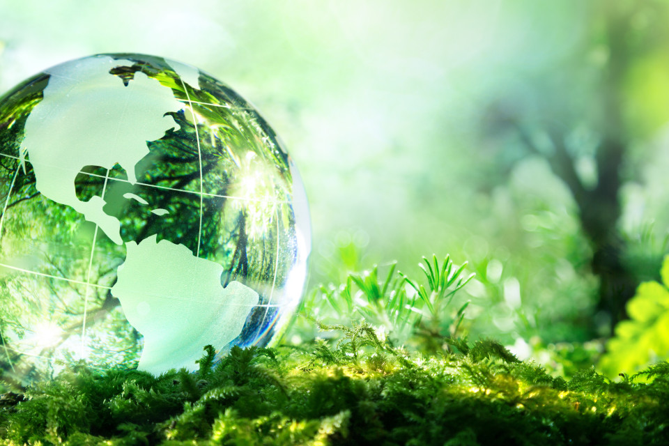 European Consultation on Poverty, Wealth and Ecology