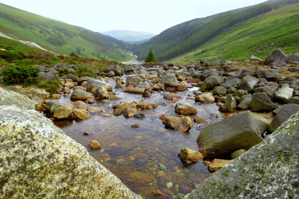 Christians unite in prayers for the healing of creation