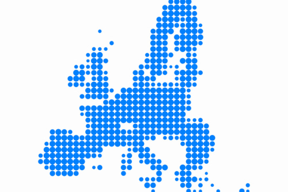Report on the Constitutional Debate