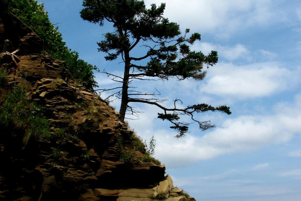 European Christian Environmental Network facilitates cooperation on eco-management and dialogue on nuclear energy