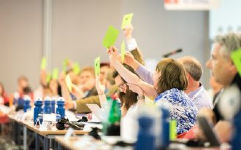Delegates vote at a CEC assembly. Photo: Albin Hillert/CEC