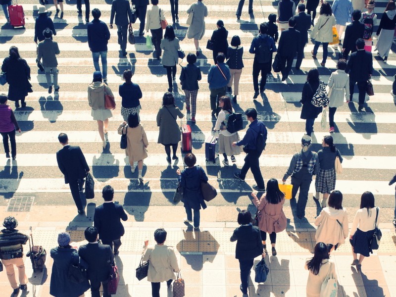 Employment and Social Issues