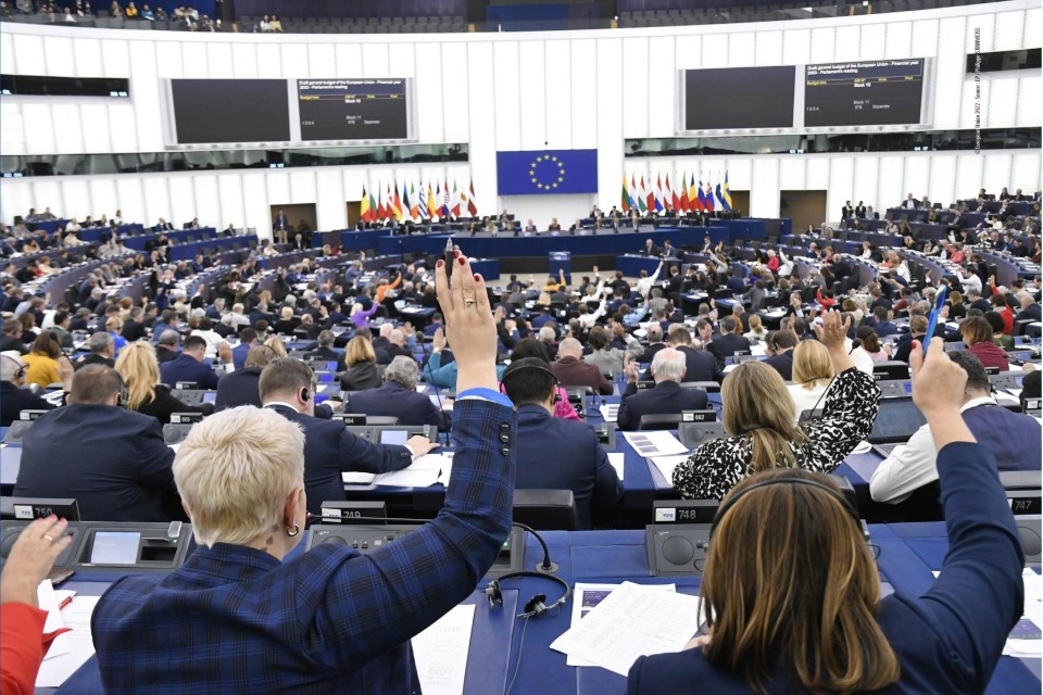 CEC contributes to European Parliament's dialogue on liberal democracy