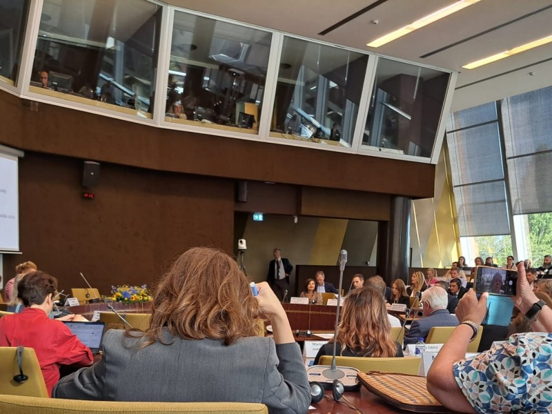 CEC contributes to discussion on peace and democracy at Council of Europe event