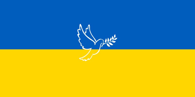 Ukraine: From war towards lasting peace: Through justice and solidarity
