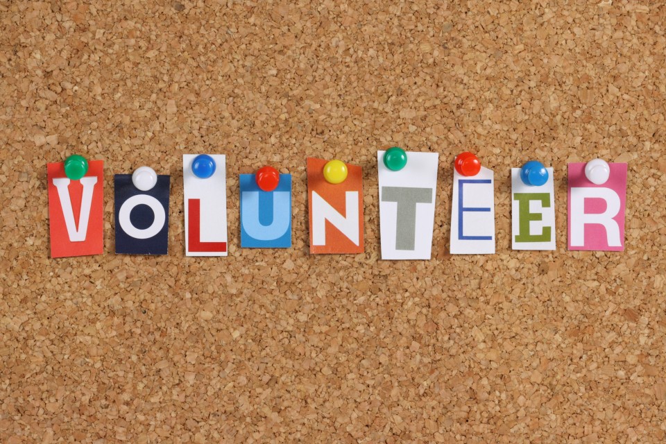 Briefing on the European Year of Volunteering