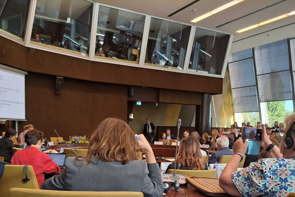 CEC contributes to discussion on peace and democracy at Council of Europe event